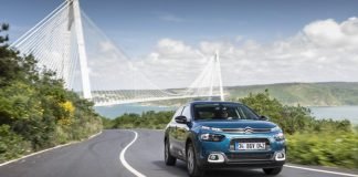 UÇAN HALI: YENİ C4 CACTUS