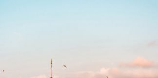 NISSAN’dan ÖTV ve KDV İndirimlerine Yüzde Sıfır Faiz Desteği ie geliyor…