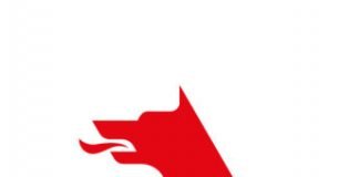 Petrol Ofisi Sosyal Lig ödüle doymuyor