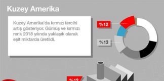 2018’de Hangi Renk Otomobiller satılmış?