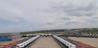 Vega, Türkiye’de büyüdü 10. yılında YYS tacını taktı