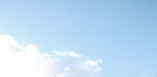 TEMSA 2021’i %122 Büyümeyle Tamamladı