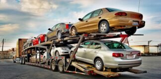 Çip Krizi Bitti Gibi, Ama Aracı Getirecek Şoför Yok