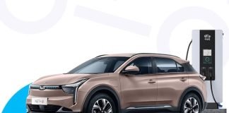 Elektrikli araç pazarında Hozon Neta ve Eşarj işbirliği